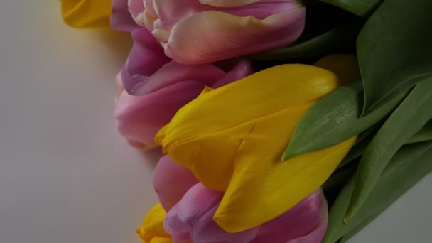 Ramo Primavera Tulipanes Copiar Espacio Humor Primavera — Vídeo de stock