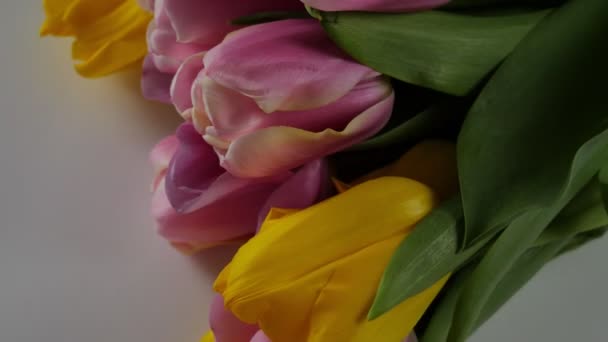 Bukiet Tulipanów Kwiaty Białym Tle — Wideo stockowe