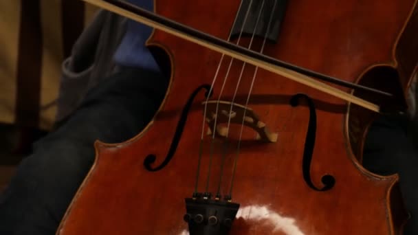 Der Mann Spielt Die Große Geige Der Musiker Spielt Eine — Stockvideo