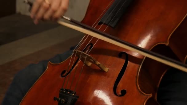 Τύπος Παίζει Μεγάλο Βιολί Πυροβολήθηκε — Αρχείο Βίντεο
