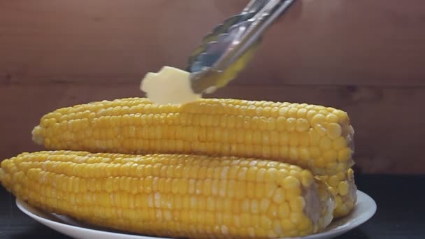 Кукурудза Концепція Тему Приготування Кукурудзи Кухар Обробляє Кукурудзу Олією Подібні — стокове відео