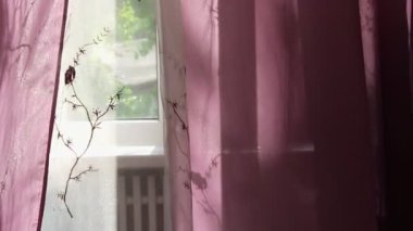 Camları siliyorum. Pencere manzaralı. Rüzgarda yükselen perdeler.