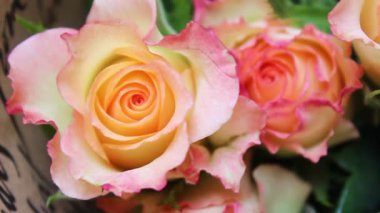 Bir buket güzel gülün yakın çekimi. Bahçedeki güller. Çiçek hediyesi. Hediye olarak buket..