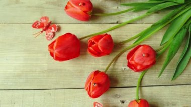 Ahşap arka planda kırmızı laleler. Kelebekler. 4K
