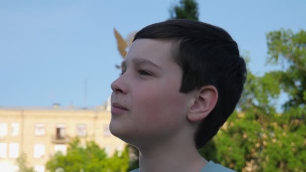 Πορτρέτο Ενός Αγοριού Στη Φύση Αγόρι Κοιτάζει Αλλού Ελεύθερος Χρόνος — Αρχείο Βίντεο