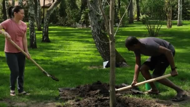 Tipo Piel Oscura Una Chica Guapa Plantan Árbol Ecología Conservemos — Vídeo de stock