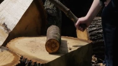 Bıçkıhane. Kütük ağaçları. Çocuk bir sopayla bir kütüğe vurur. Çevre turizmi. 4K