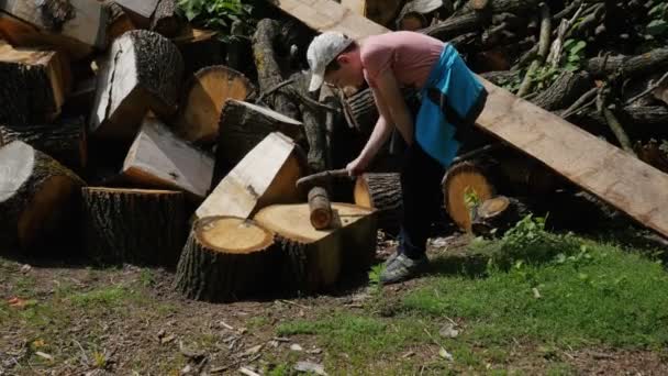Sägewerk Baumfällarbeiten Der Junge Klopft Mit Einem Stock Auf Einen — Stockvideo