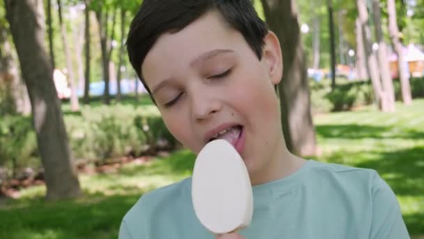 可愛い男の子がおいしいアイスクリームを食べています 公園を歩いているとアイスクリームのある子供がいる おいしい — ストック動画