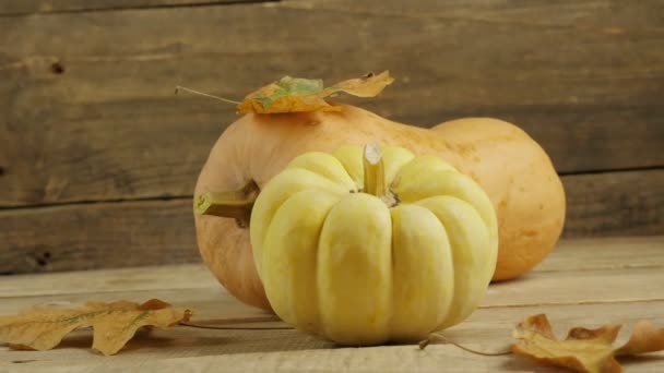 Thanksgiving Day Pumpkin Happy Thanksgiving Background Wooden Table Decorated Pumpkin — Stock Video