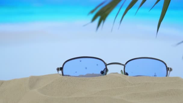 Muscheln Sand Liegen Auf Blauem Holzgrund Blick Von Oben Kopierraum — Stockvideo