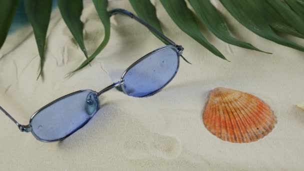Occhiali Trovano Sulla Palma Conchiglia Sabbia Bianca Estate Turismo Concetto — Video Stock