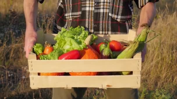 Récolte Homme Fermier Tient Une Boîte Légumes — Video