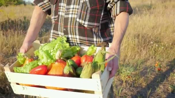Récolte. Un homme fermier tient une boîte de légumes. Saison de récolte. Jour de Thanksgiving. — Video