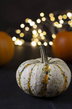 Şükran Günü. Şükran Günü. Balkabaklarının Şükran Günü sonbahar arkaplanı