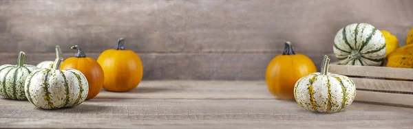 Thanksgiving background. Thanksgiving composition. Thanksgiving pumpkins on wooden background. Banner. Copy space