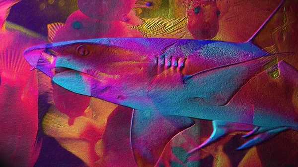 Multicolor background with a shark — Stock Photo, Image