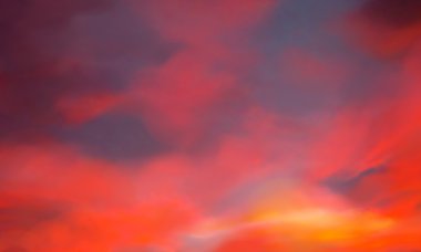 Kupa bardak ve madeni paralar