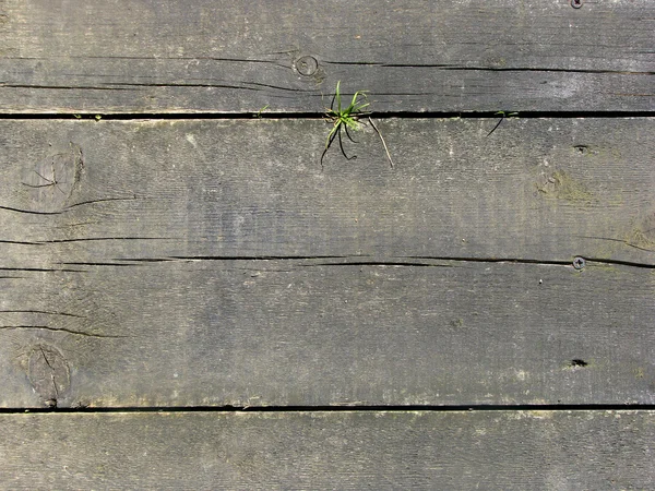 Alte Holzbohlen — Stockfoto