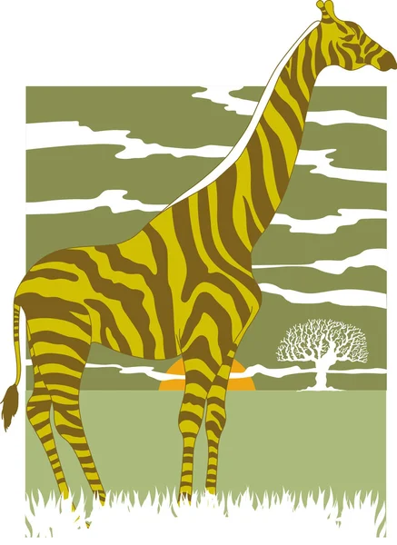 Ilustracja wektorowa zebra/żyrafa na tle zachodu słońca — Zdjęcie stockowe