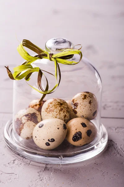 Ovos de codorna abaixo de um cloche de vidro com uma fita — Fotografia de Stock