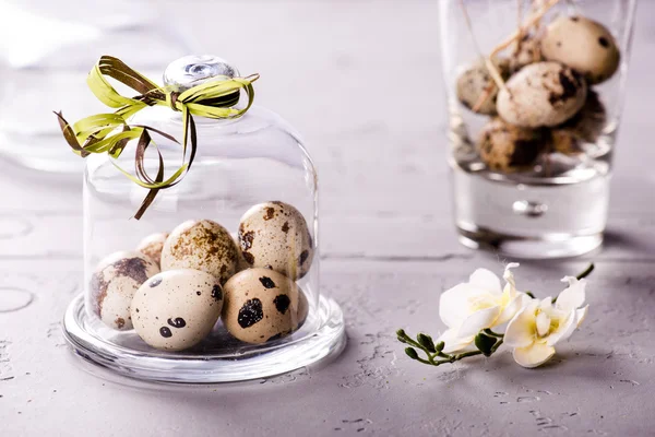 Je křepelčích vajec pod skleněnou cloche stuhou — Stock fotografie