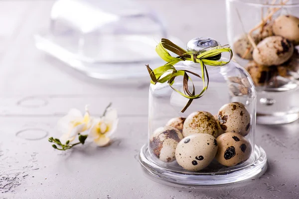 Je křepelčích vajec pod skleněnou cloche stuhou — Stock fotografie