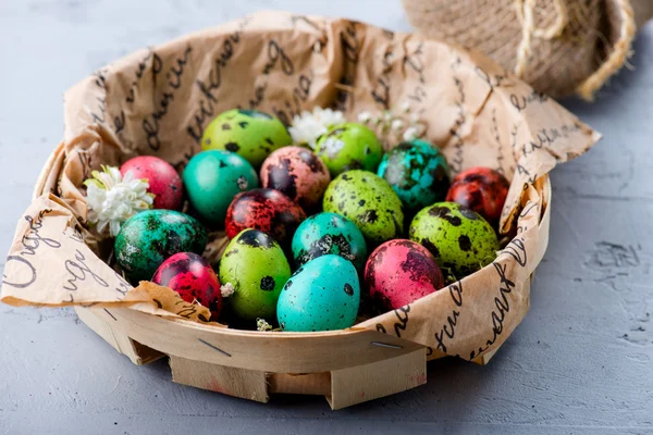 Páscoa ovos de codorna decoração no fundo de concreto — Fotografia de Stock
