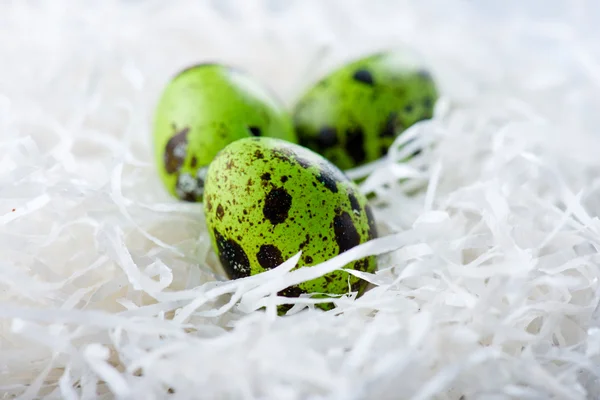 Œufs de caille colorés dans le nid pour les vacances de Pâques — Photo