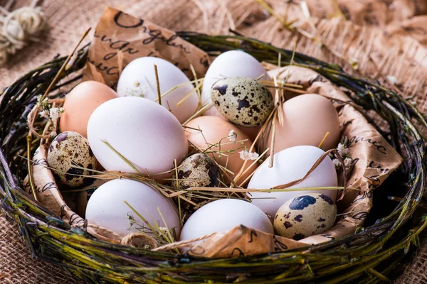 Fresh chicken and quail eggs in a nest Stock Photo