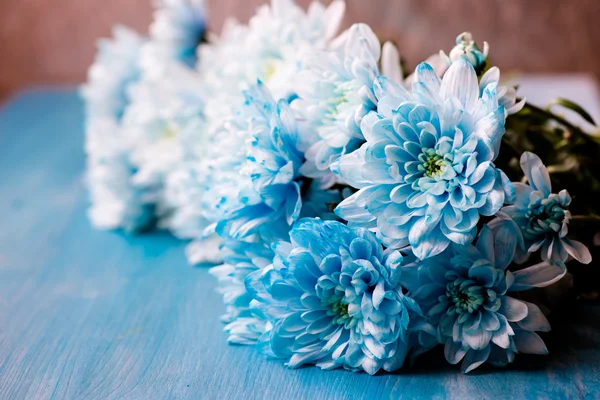 Bukett med blå chrysanthemum blommor — Stockfoto