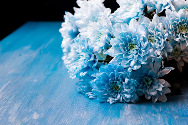 Bukett med blå chrysanthemum blommor — Stockfoto