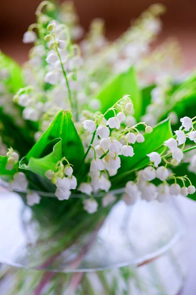 Букет з маленької білої квіткової лілії долини — стокове фото