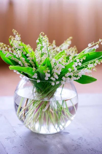 Un ramo de pequeño lirio de flores blancas del valle — Foto de Stock