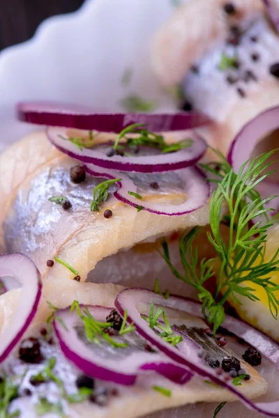 Herring with pepper, herbs, salt and lemon on white ceramic plat — Stock Photo, Image