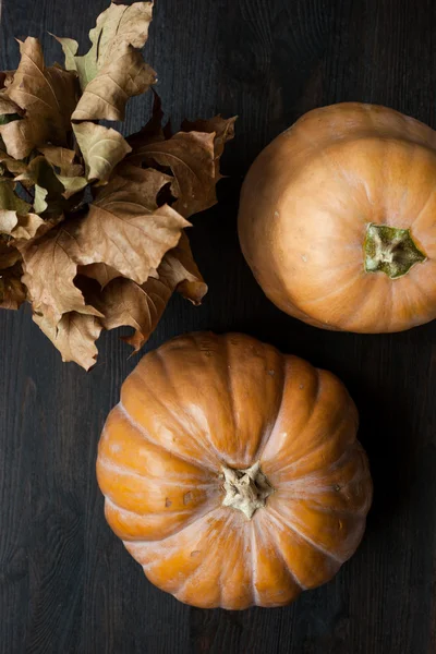 Large pumpkins on a wooden table, decor — Stock Photo, Image