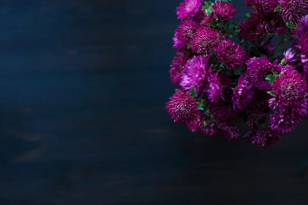 Dahlia Осінній дизайн квітів — стокове фото