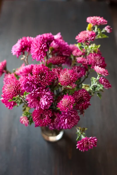 Dahlia Herfst bloem ontwerp.Met kopieerruimte — Stockfoto