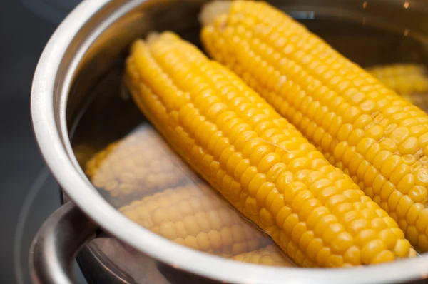 Some corn boiled in hot water — Stock Photo, Image