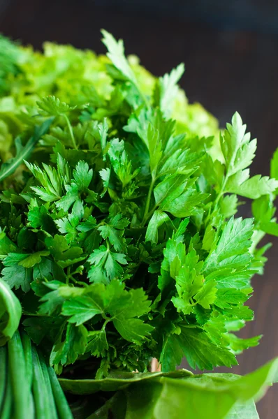 Verduras frescas con lechuga, menta, eneldo y perejil, cebolla de primavera — Foto de Stock