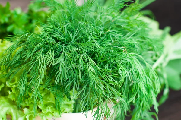 Verduras frescas con lechuga, menta, eneldo y perejil, cebolla de primavera — Foto de Stock