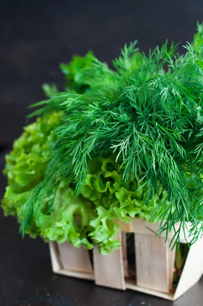 Verzi proaspeți cu salată verde, mentă, mărar și pătrunjel, ceapă de primăvară — Fotografie, imagine de stoc
