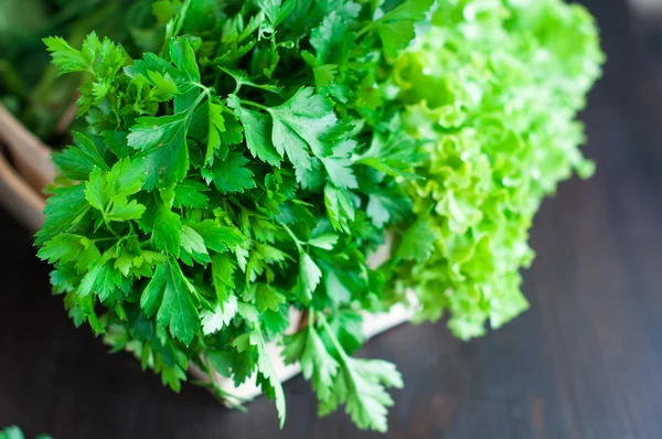 Verduras frescas con lechuga, menta, eneldo y perejil, cebolla de primavera — Foto de Stock