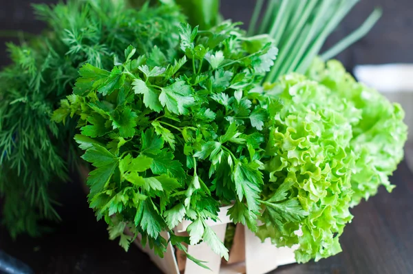 Verduras frescas con lechuga, menta, eneldo y perejil, cebolla de primavera — Foto de Stock