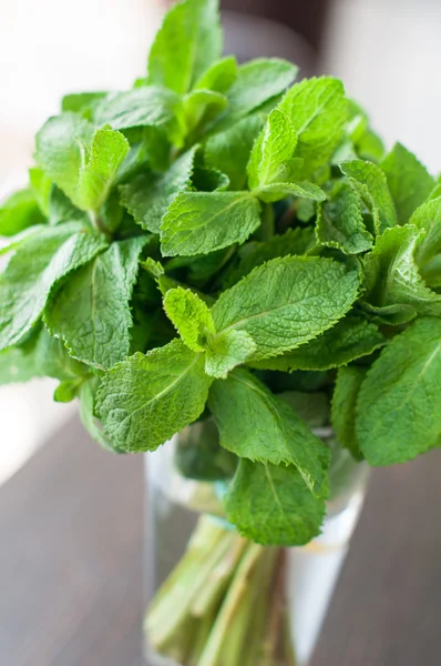 Fresh mint leaves on a wooden background — Stock Photo, Image