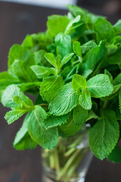 Fresh mint leaves on a wooden background — Stock Photo, Image