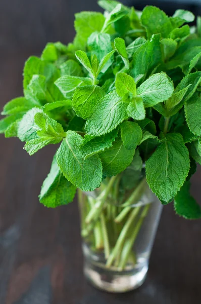 Fresh mint leaves on a wooden background — Stock Photo, Image