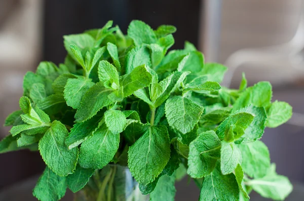 Fresh mint leaves on a wooden background — Stock Photo, Image