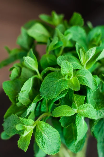 Fresh mint leaves on a wooden background — Stock Photo, Image