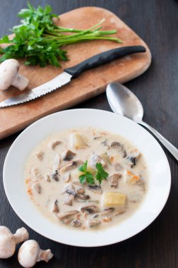 plaka vejetaryen mantar çorbası